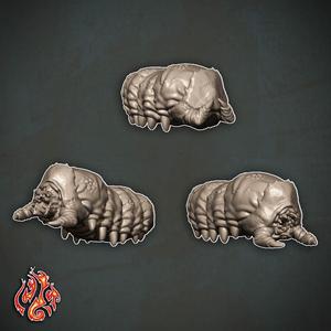 Ankegh Larvae