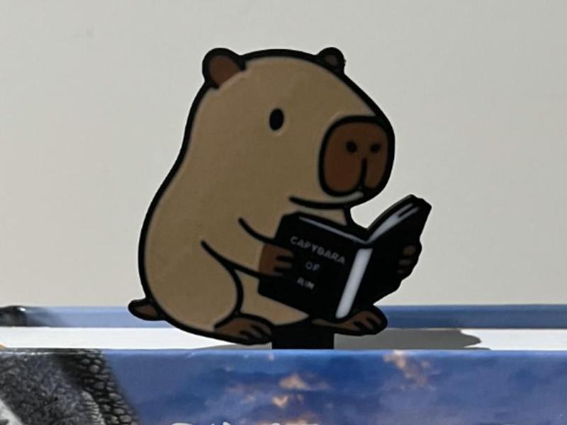 Capybara Bookmarks