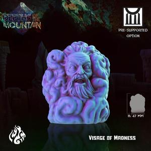 Visage of Madness