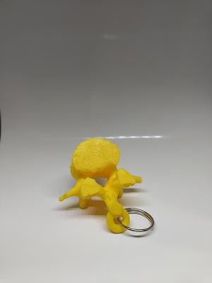 Vertebra Keychain