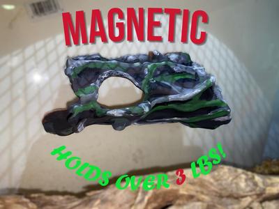 Magnetic Reptile Ledge - Hollow Log
