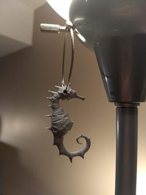 Seahorse
