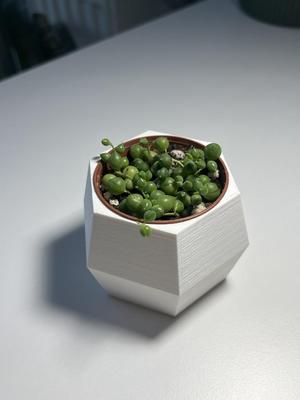 Hexagonal flower pot 