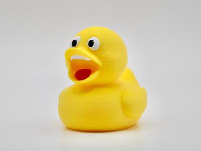Screaming Duck