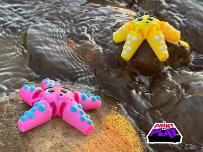 Cute Flexi Fidget Starfish