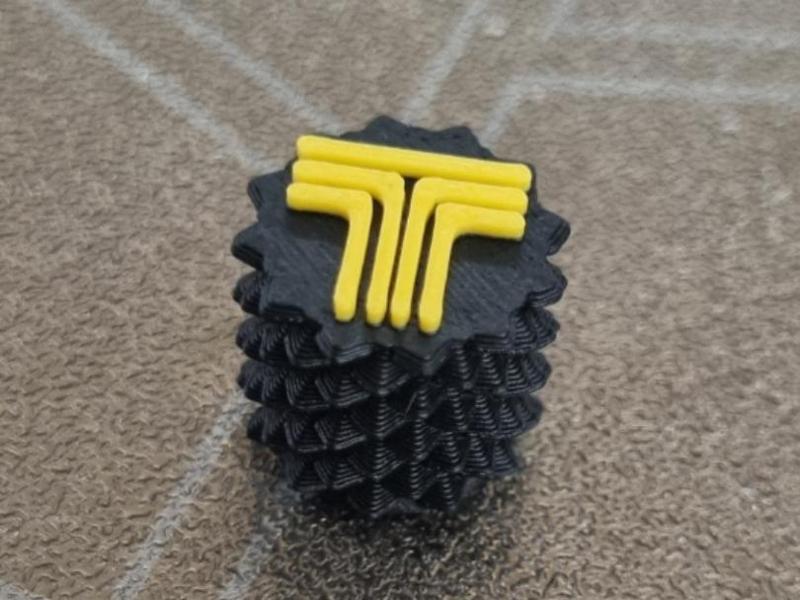 Tire valve cap TOFAS logo