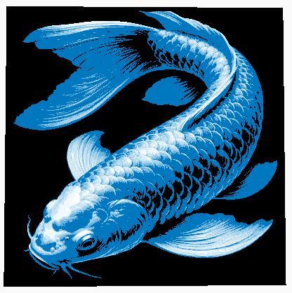 Hueforge Koi Fish