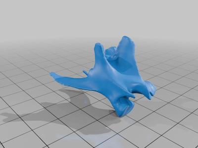 Cat vertebra freebie