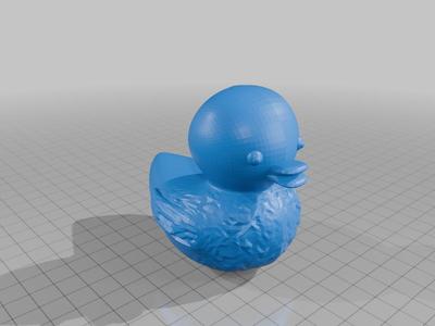 Textured Ducky