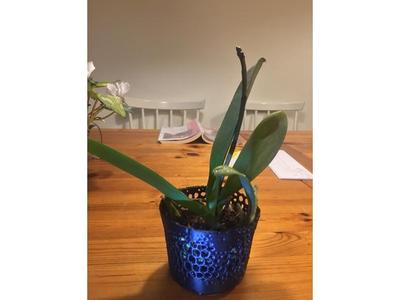 Small Orchids Pot (3.3 inch)
