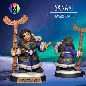 Female Dwarven Druid - Sakari the Dwarven Druid