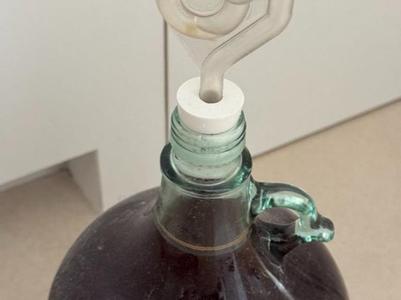 airlock stopper wine fermentation carboy botleneck