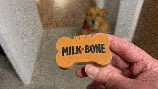 Dog Biscuit Splitter - EFFORTLESS - Print in place