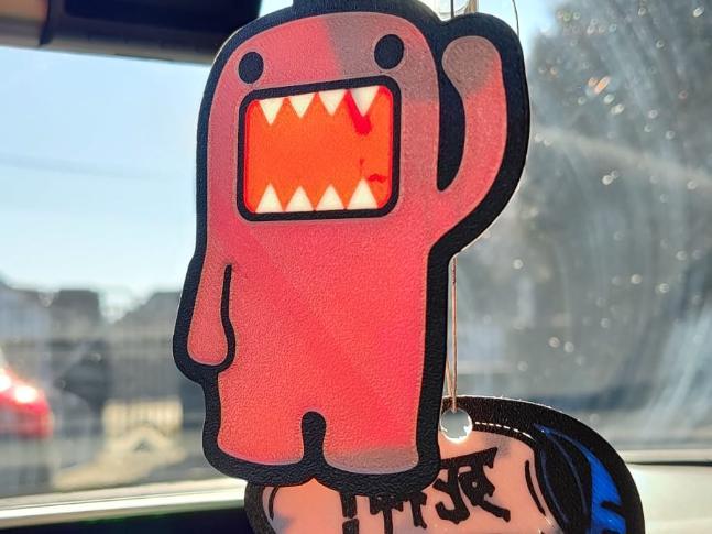 Domo Rear view mirror accessory