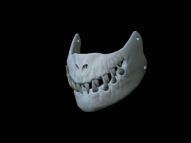 Devil Salamander mask
