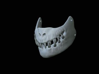 Devil Salamander mask