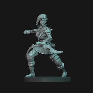 Dark Elf - D&D Mini