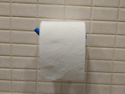 Paper Toilet Holder
