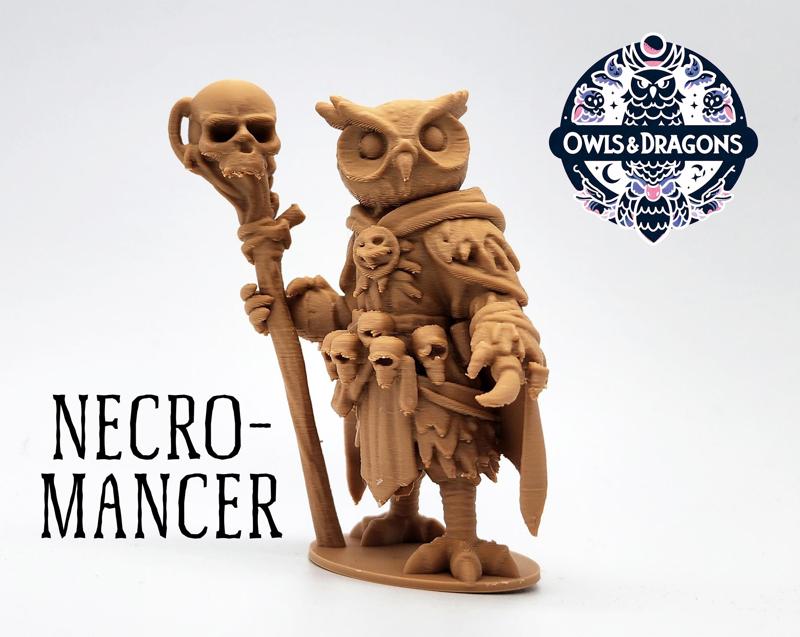 The Necromancer - Owls & Dragons