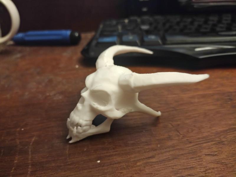 Demon Skull 2.3mf