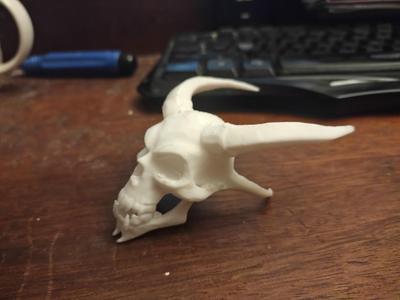 Demon Skull 2.3mf