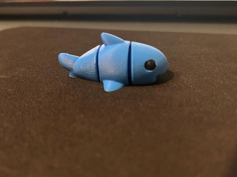 Flexi Shark, no tower