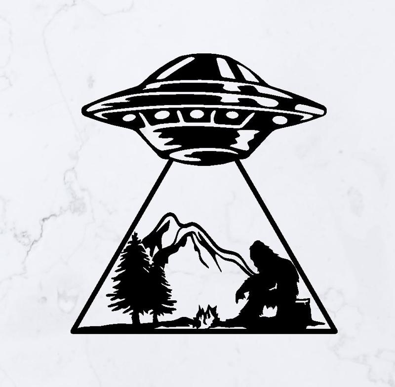 UFO Abduction