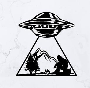 UFO Abduction