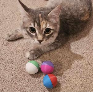 Easy Print Cat Balls! use up your extra scraps! only 13g per ball!