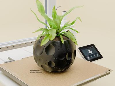 Meteor Plant Pot & Vase