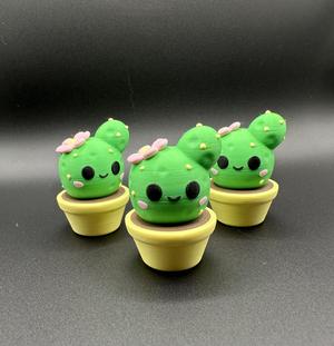 CUTE CACTUS