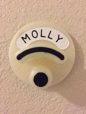 Dog Leash and accessory holder, wall mountable