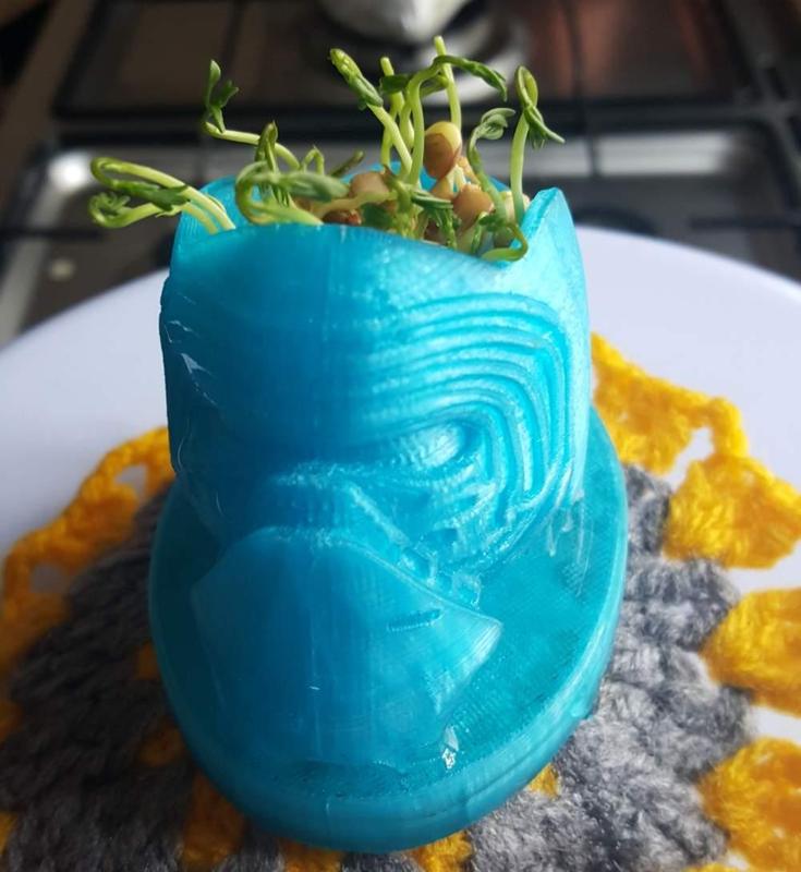 Kylo Ren Planter