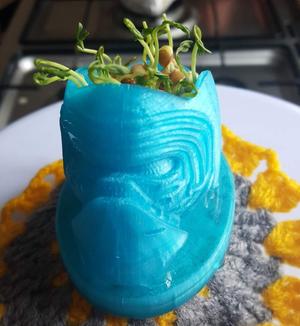 Kylo Ren Planter