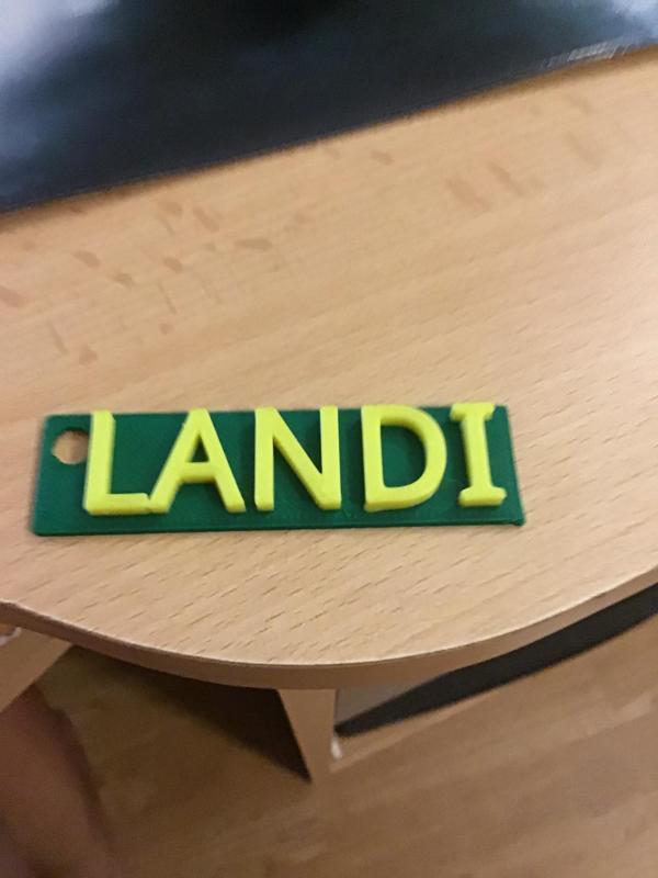 logo porte cles landi