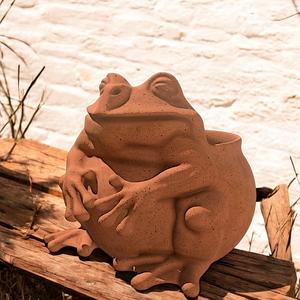 Frog Pot