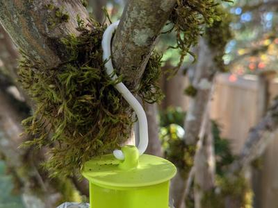 Hook for RESCUE wasp trap bag