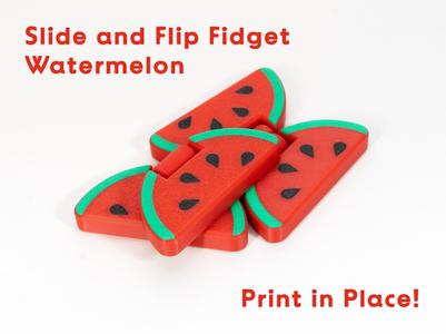 Watermelon Slide and Flip Fidget