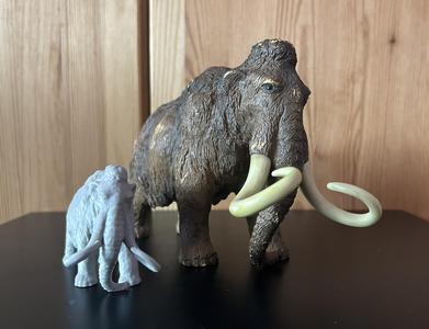 Mammoth scanned with revopoint POP3Plus