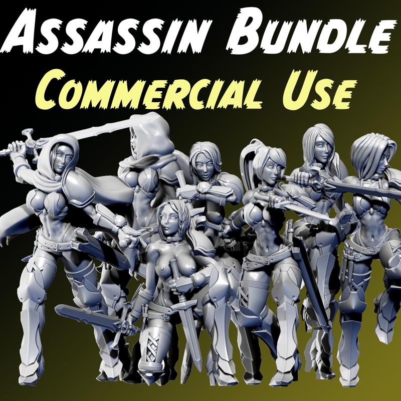 Assassins of Libris - Commercial Use