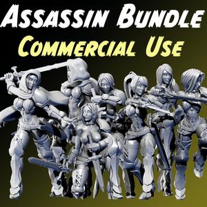 Assassins of Libris - Commercial Use