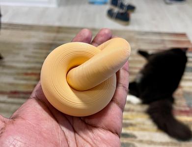 Torus Knot