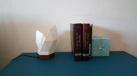 Nice desk Lamp
