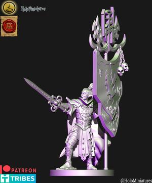 Dark Elves battle standart bearer (elf)