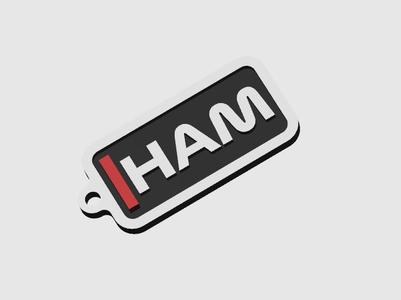 Lewis Hamilton 2025 Keychain - Ferrari Tribute