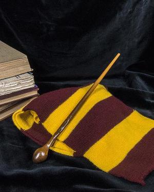 Remus Lupin’s Wand - Harry Potter