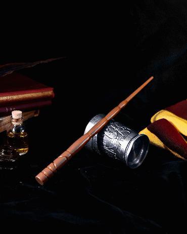 Katie Bell's Wand - Harry Potter