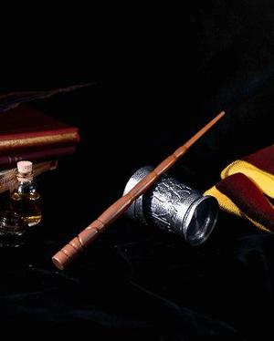 Katie Bell's Wand - Harry Potter