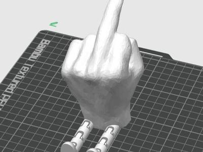 Flexi Middle Finger