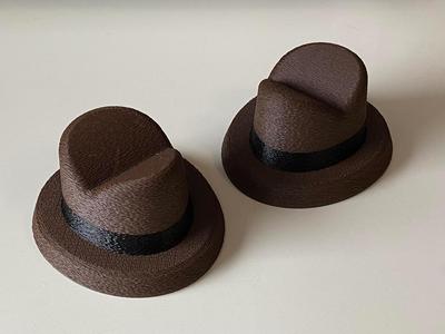 Perry's Fedora